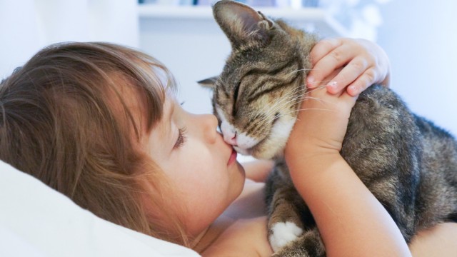 Зачем ребенку кот