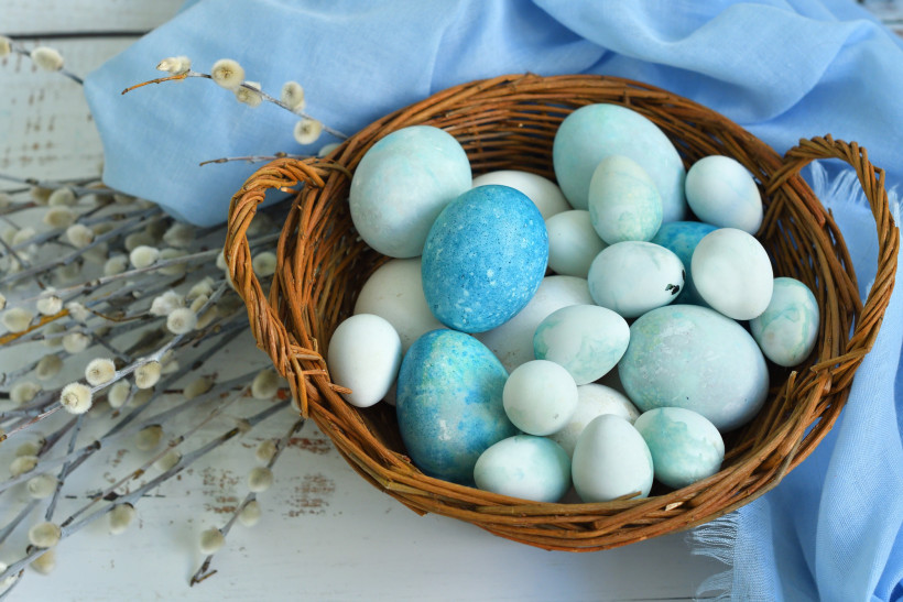 крашанки блакитні