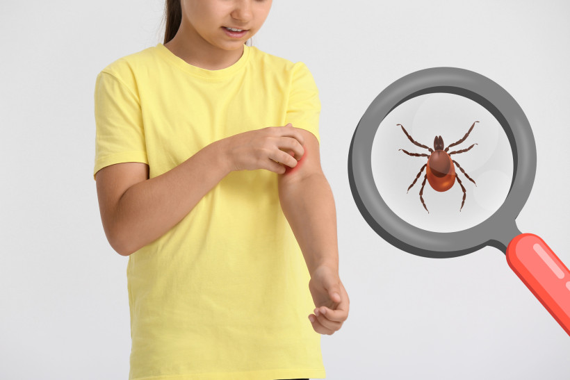 іксодові кліщі