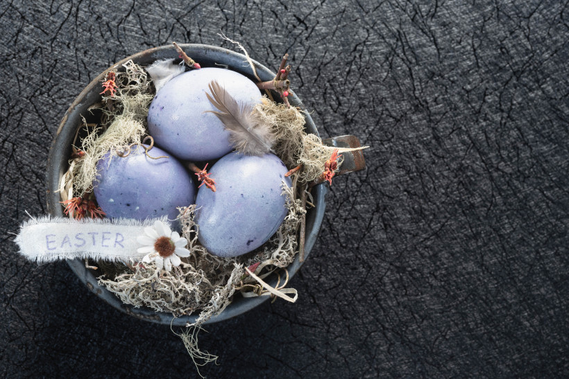 фіолетові яйця чорниця