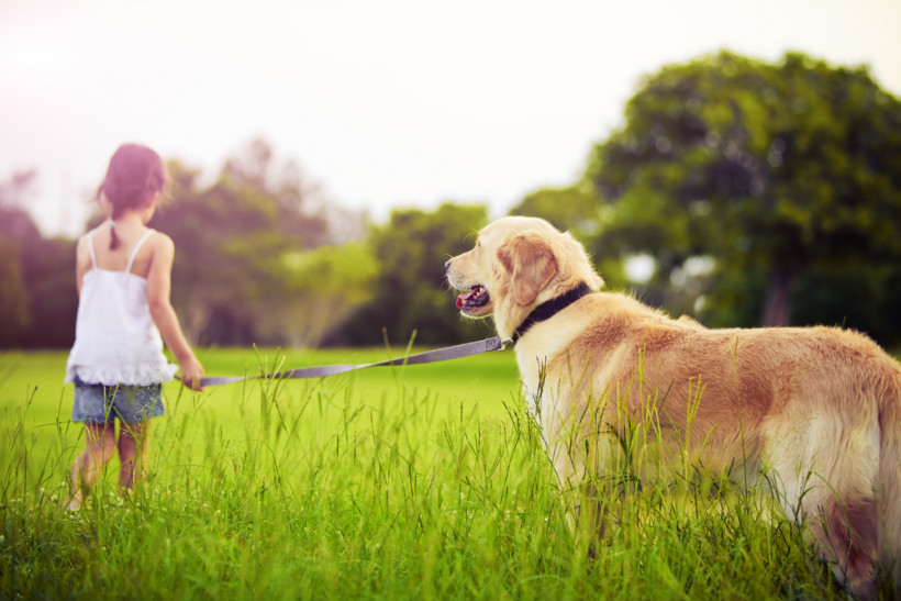Девочка одна выгуливает собаку