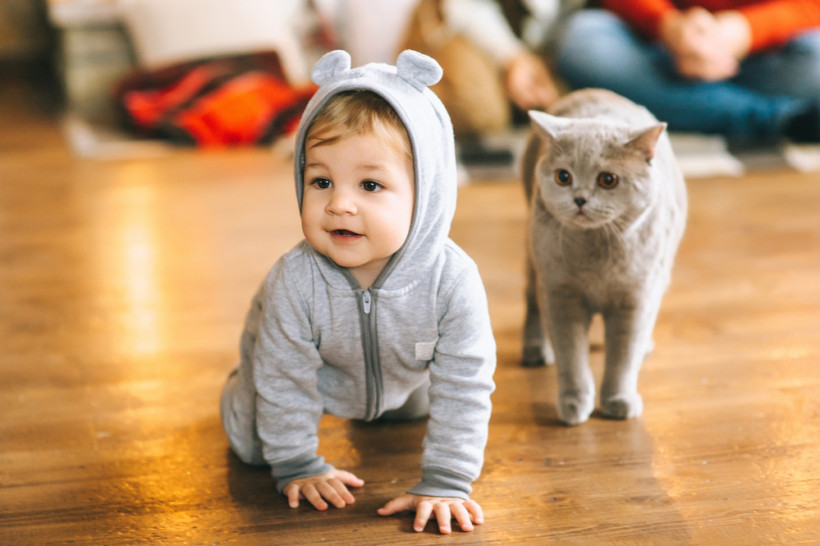 малюк і кіт