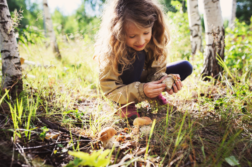 девочка собирает грибы