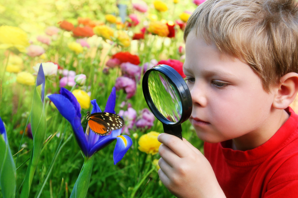 Мальчик рассматривает бабочку через увеличительное стекло