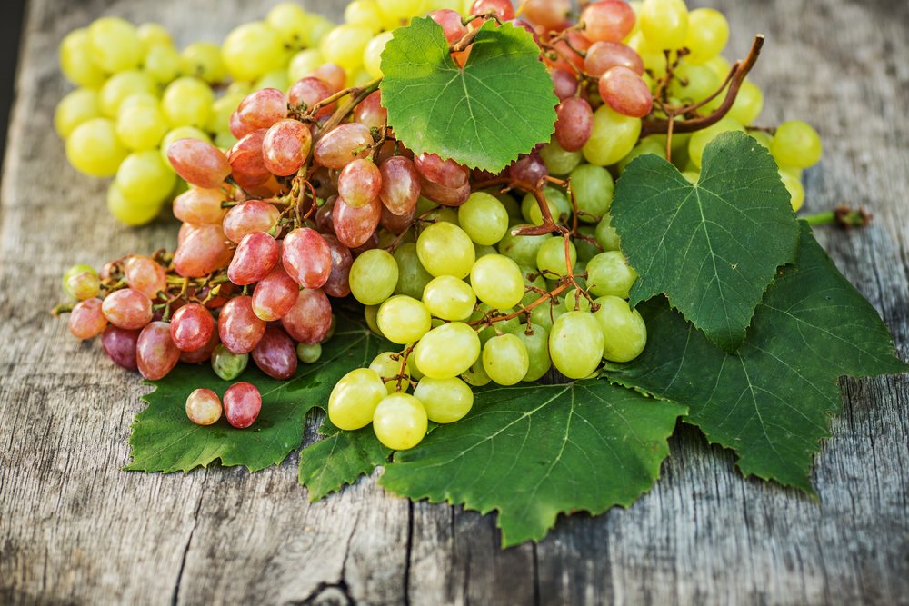 Сердечно-сосудистые заболевания: употребляйте виноград