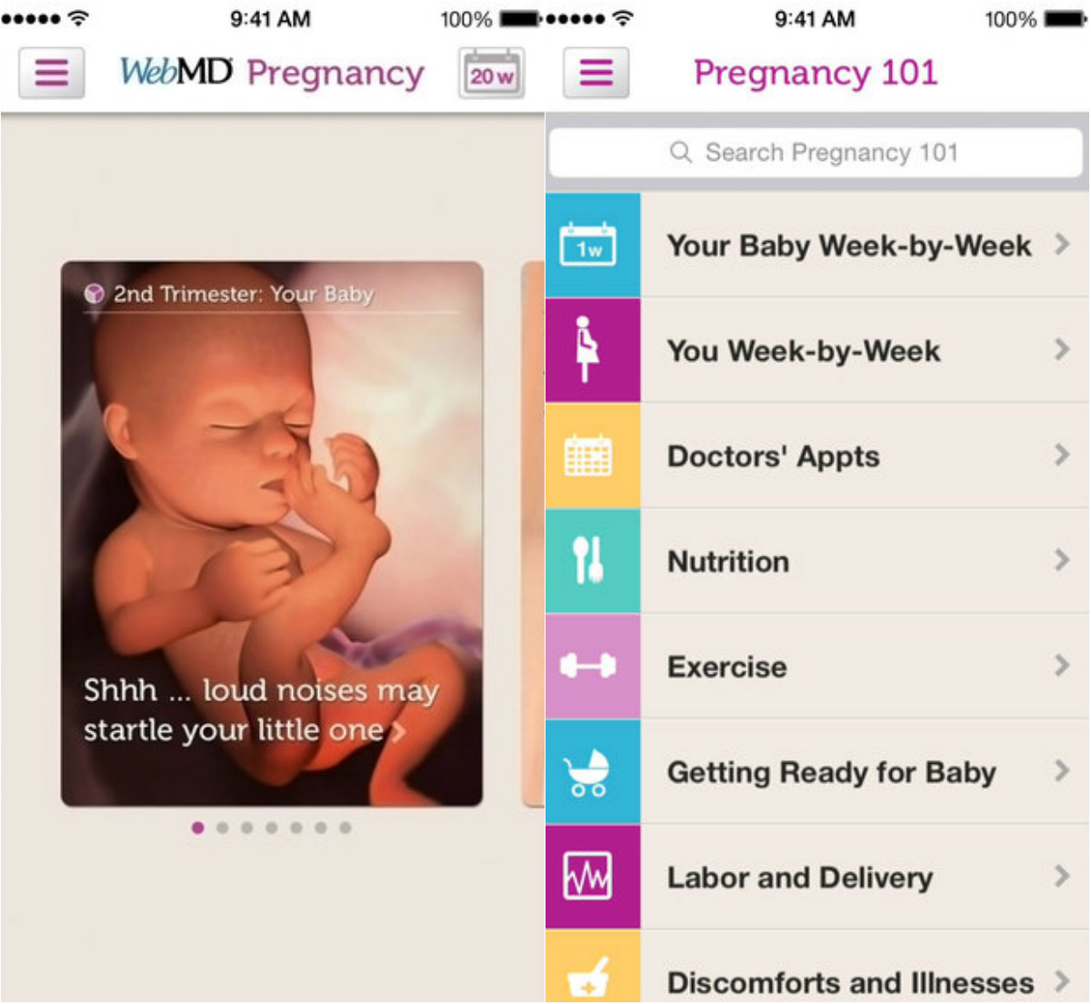 Web MD Pregnancy