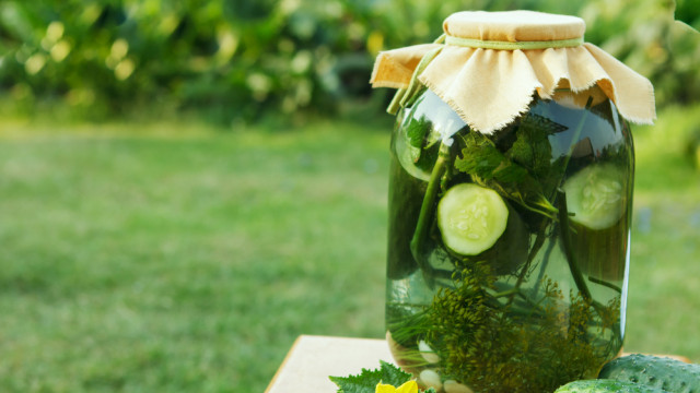 малосольные огурцы