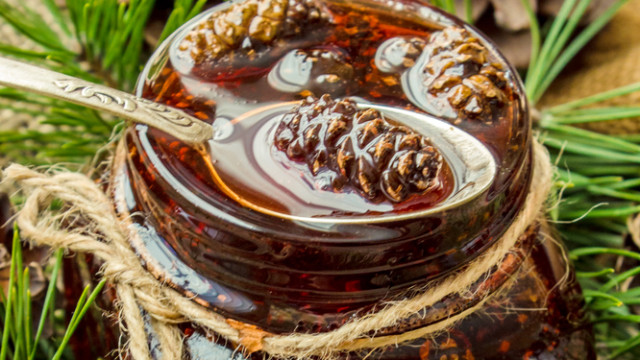 варенье из еловых шишек