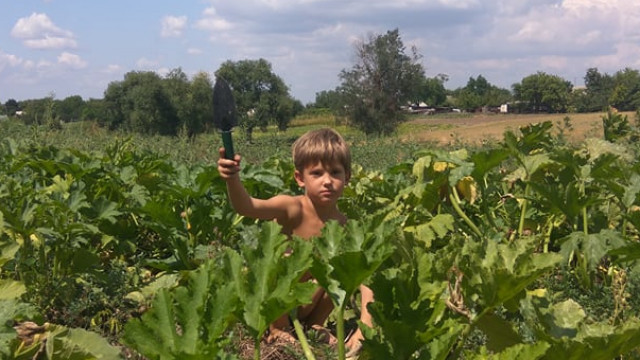 огород для детей