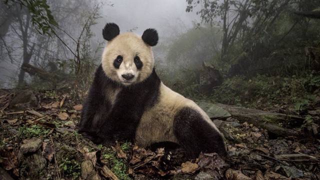 Лучшие фотографии 2016 года