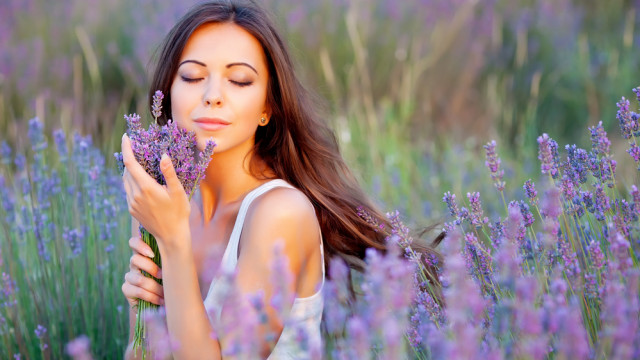 Лаванда: чому варто її вирощувати та як застосовувати?