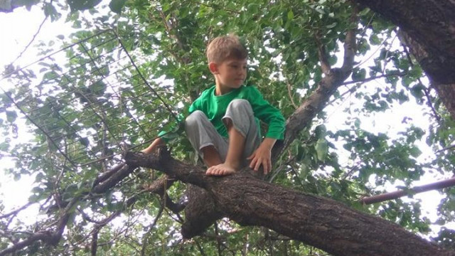 игры для детей Баранова