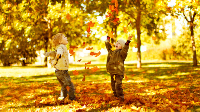 стихи про осень