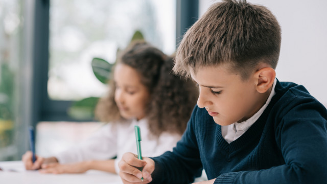 Особливості системи освіти в Німеччині очима українця