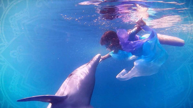 танцующая с дельфином