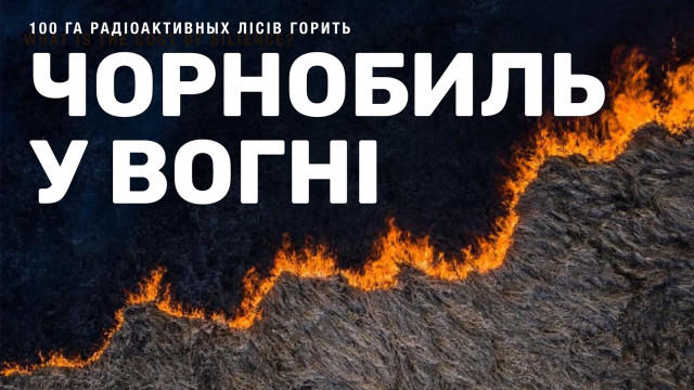 Как помочь Чернобыльскому лесу: перечислить донейт,  спасти белочек и не верить фейкам