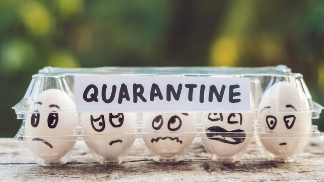 Мама, Марі і Кіт Василь на карантині - історія однієї сім'ї,  з продовженням. Не перемикайтесь!