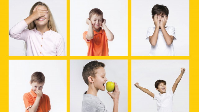 Ко дню музеев: бесплатные интерактивы онлайн от музея в темноте!