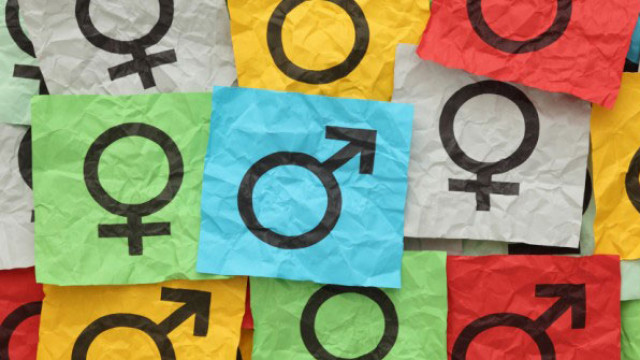 Нейробиолог Виктор Комаренко расскажет про гендерные особенности на бесплатной онлайн-лекции