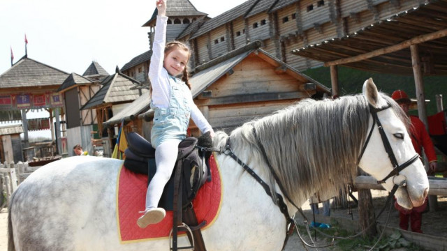 Под Киевом покажут редких древних животных - где провести первые августовские выходные?