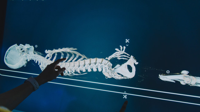 Собрать мост Леонардо да Винчи и запустить молнию - что ждет посетителей нового «Музея науки» в Киев