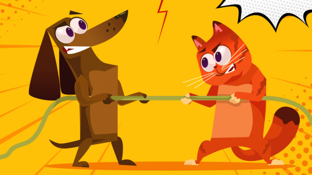 Коты против собак: на «Дарынке» пройдет веселое соревнование