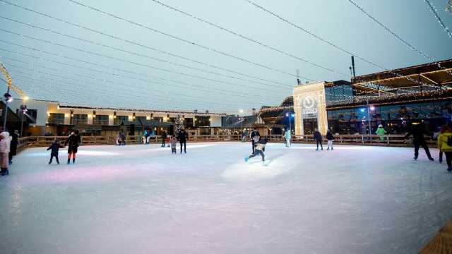 Цирк на льду