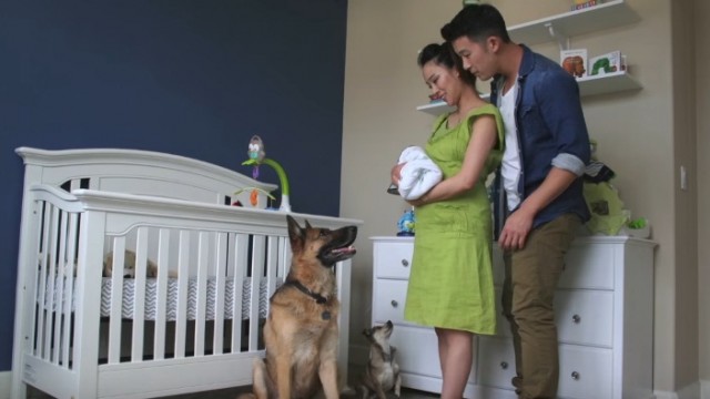 Пара с ребенком и собакой