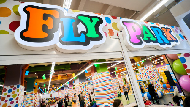 флай парк даринок