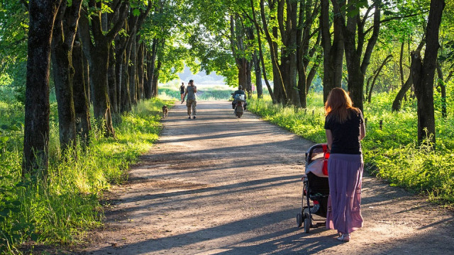 Выбор коляски