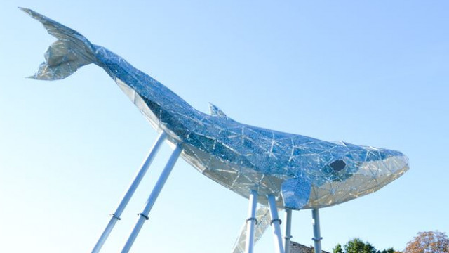 Киевский Кит