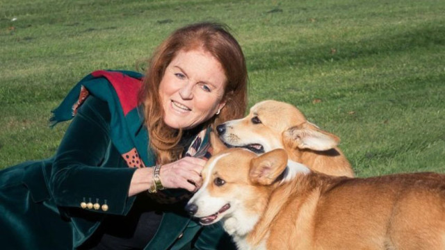 коргі королеви