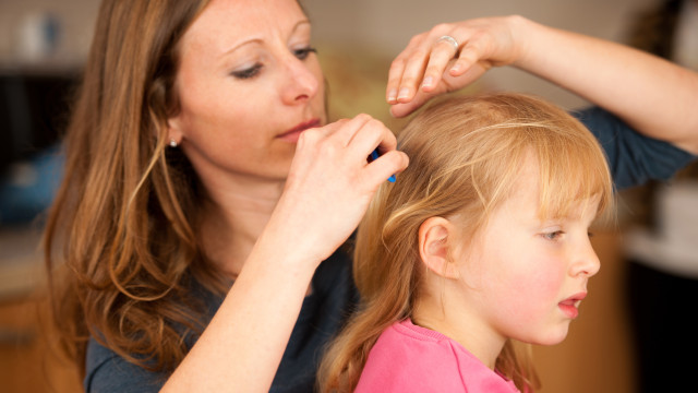 мама розчісує доньку, воші