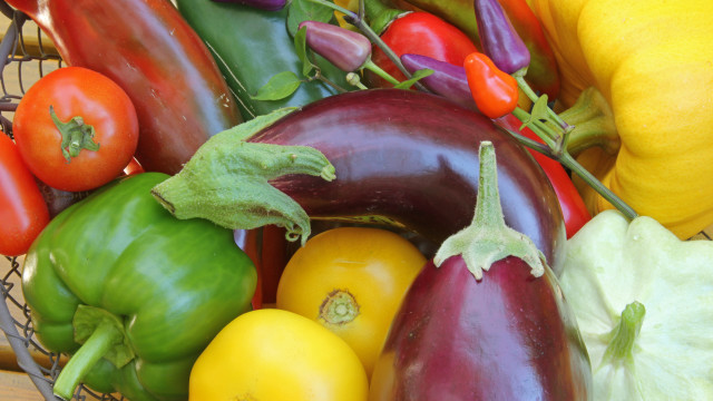 природні токсини