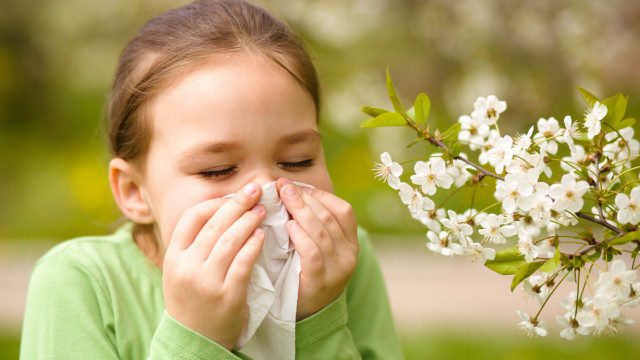 сезонна алергія поліноз