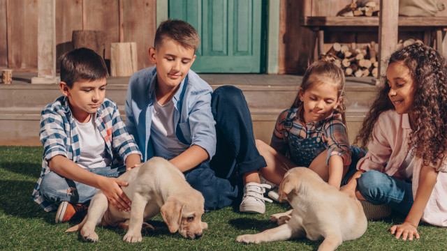 діти та тварини