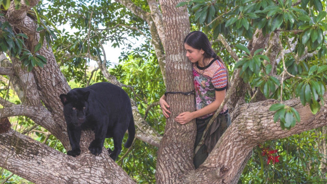 елла та чорний ягуар