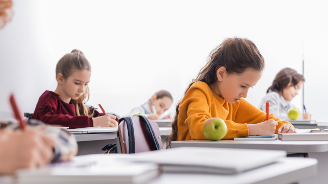 ДПА для початкової школи