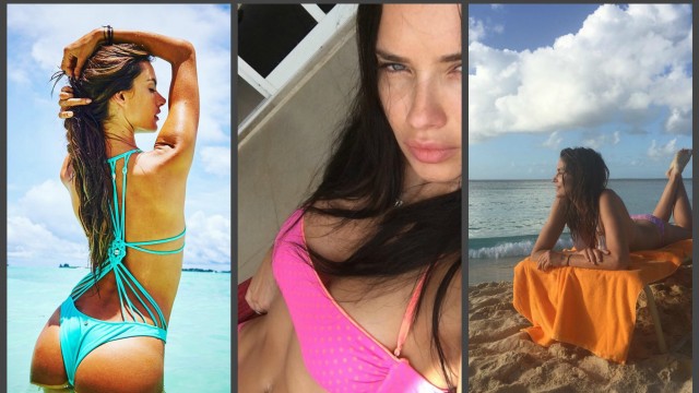 Звезды на отдыхе 