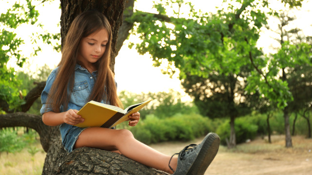 книги на літо