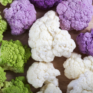 цвітна капуста