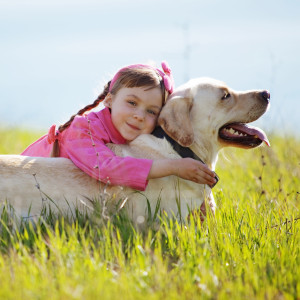 кліщ у собаки