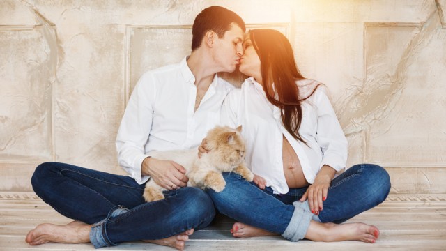 Беременная и кот 