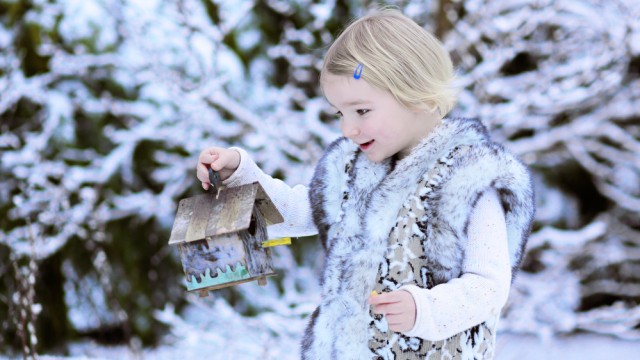 Конкурс для школьников: лучшая кормушка для белок и птиц