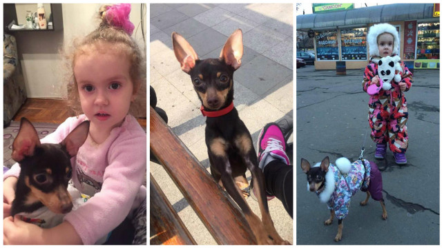 Ева, дочь Лены Искив