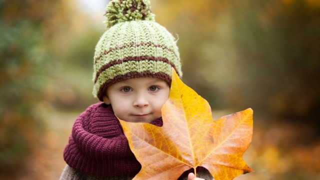 Ребенок осень 