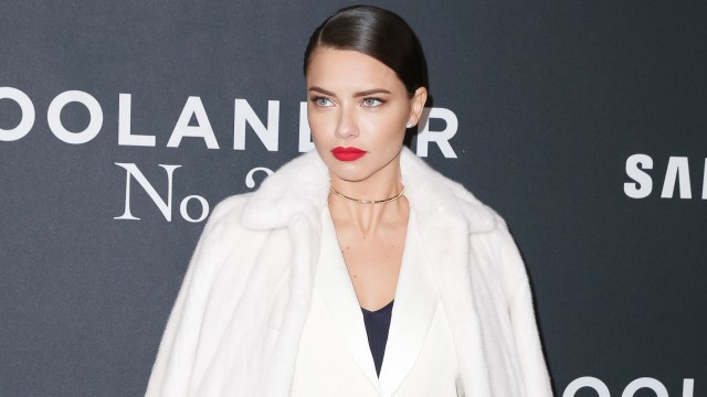 Модель Адриана Лима