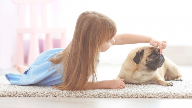 Ребенок с собакой