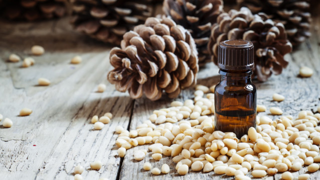 кедрова олія