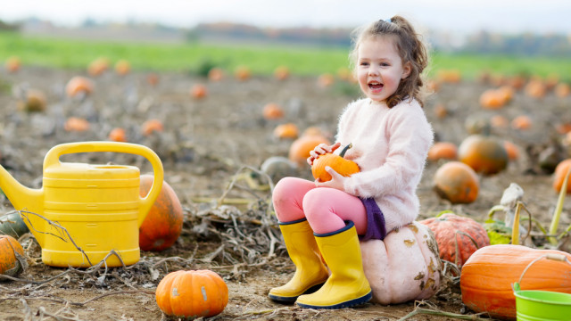 Девочка на тыквенной фотосессии